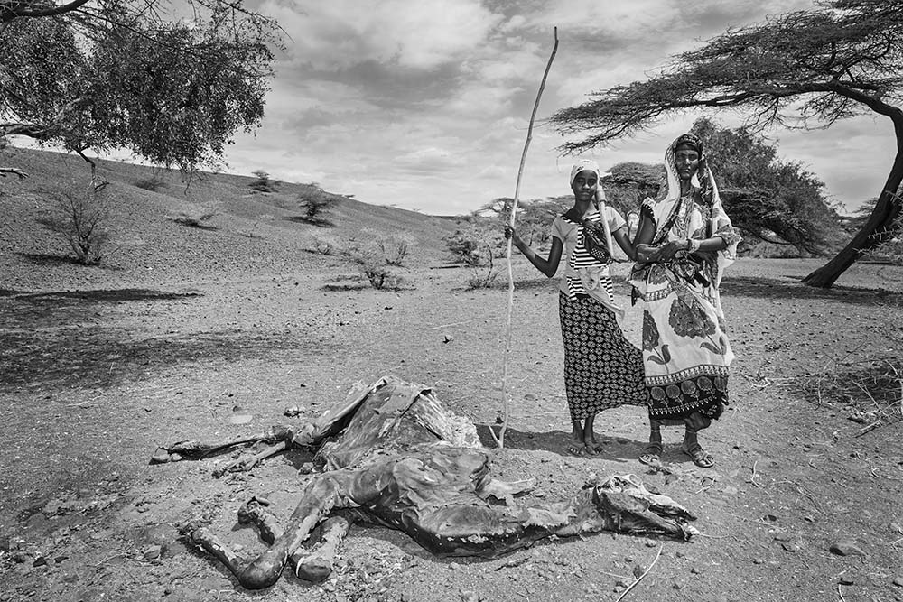 Two Kenyan women stand by a dead camel